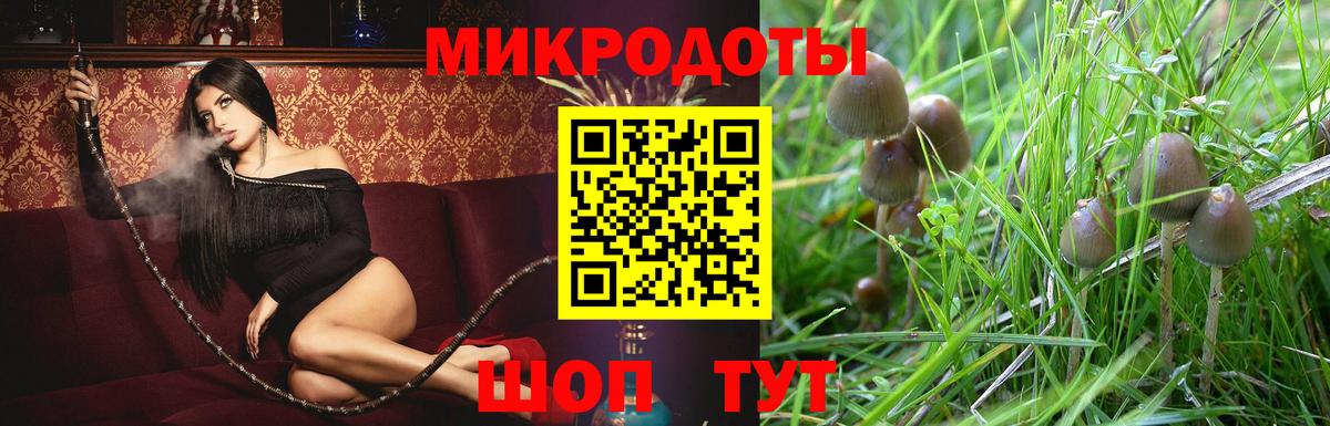 Псилоцибиновые грибы ЛСД  Вход с VPN  Мценск 